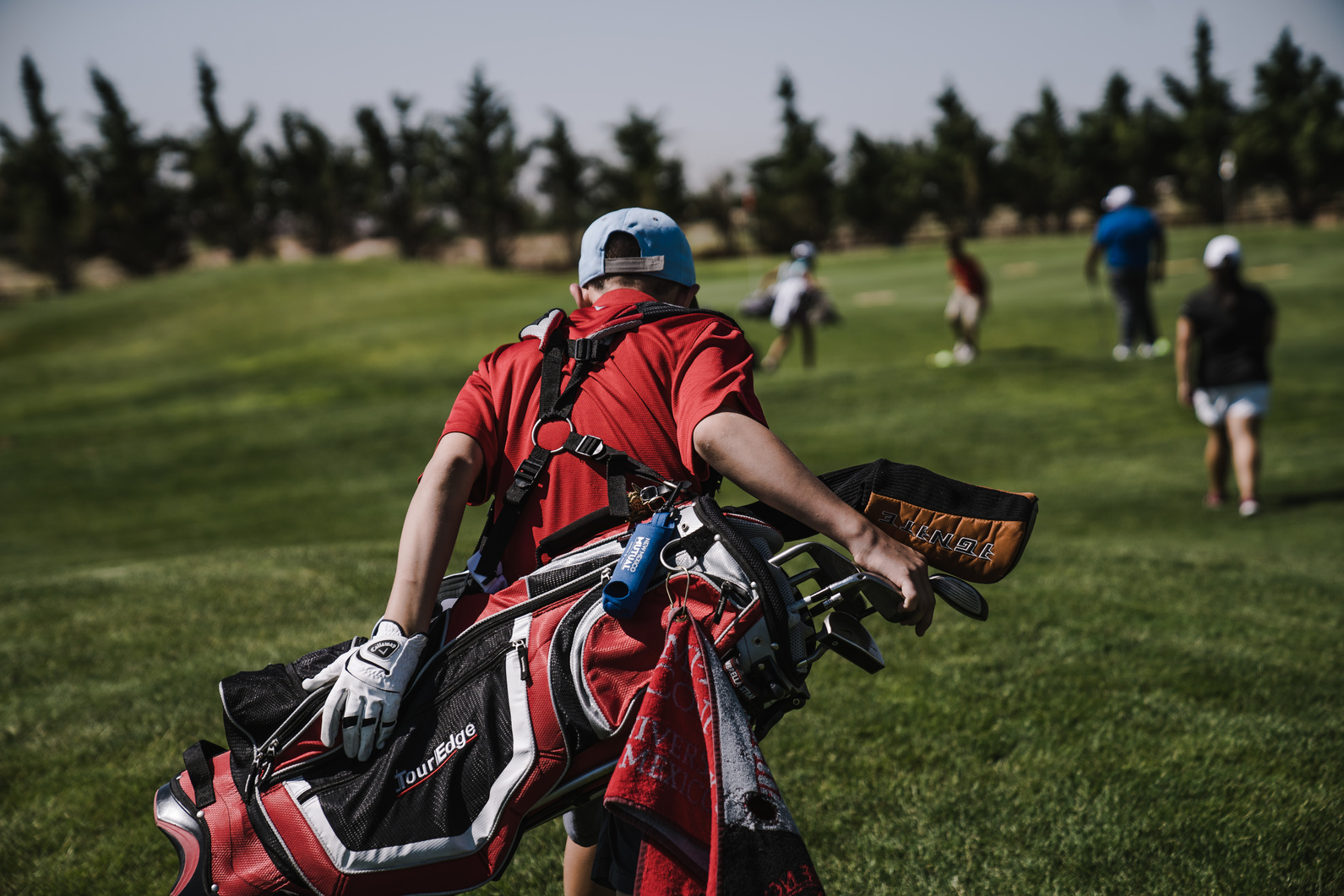 Man Walking Carrying Black and Red Golf Bag on Green Grass Field