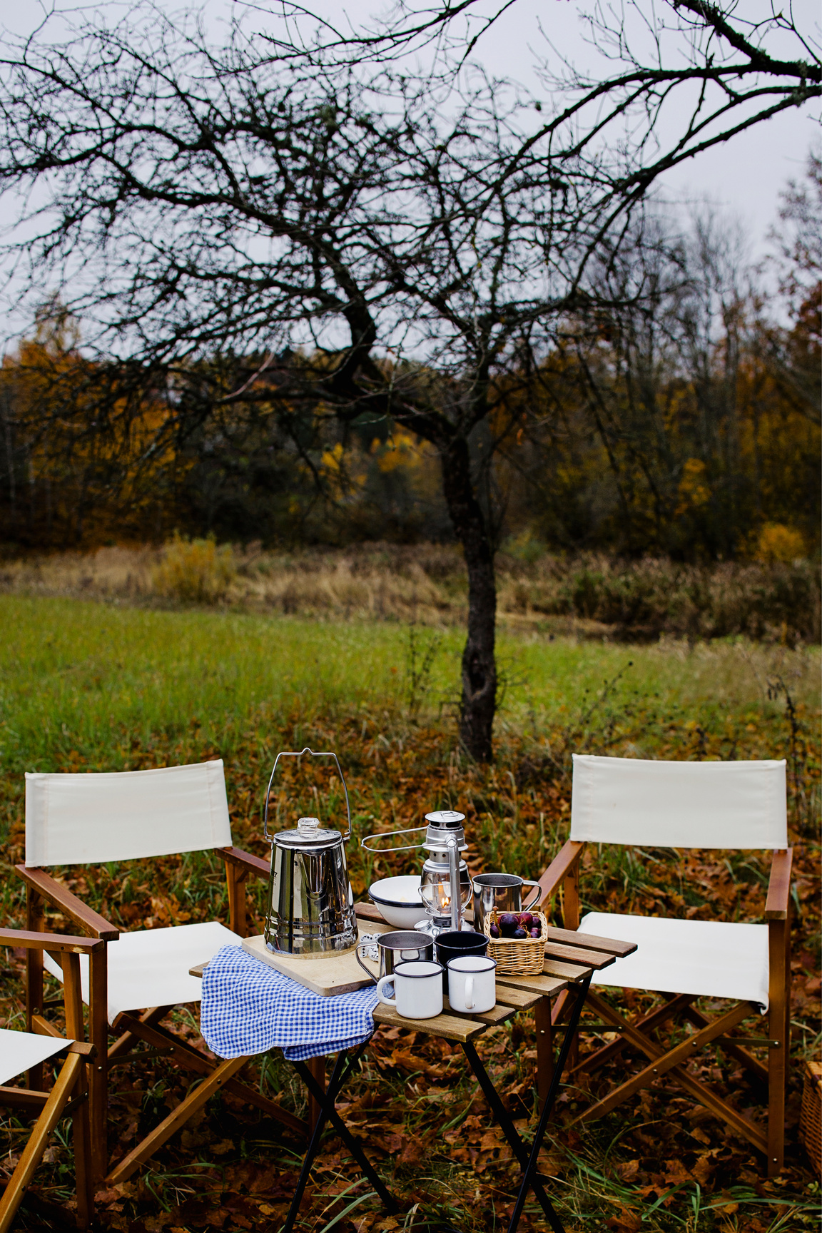 Outdoor picnic